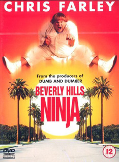 Beverly Hills Ninja video