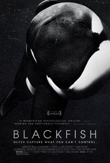 Blackfish movie