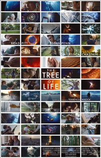 The Tree of Life dvd video